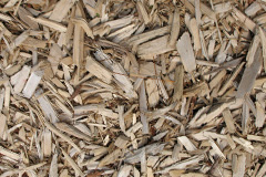 biomass boilers Hartsgreen